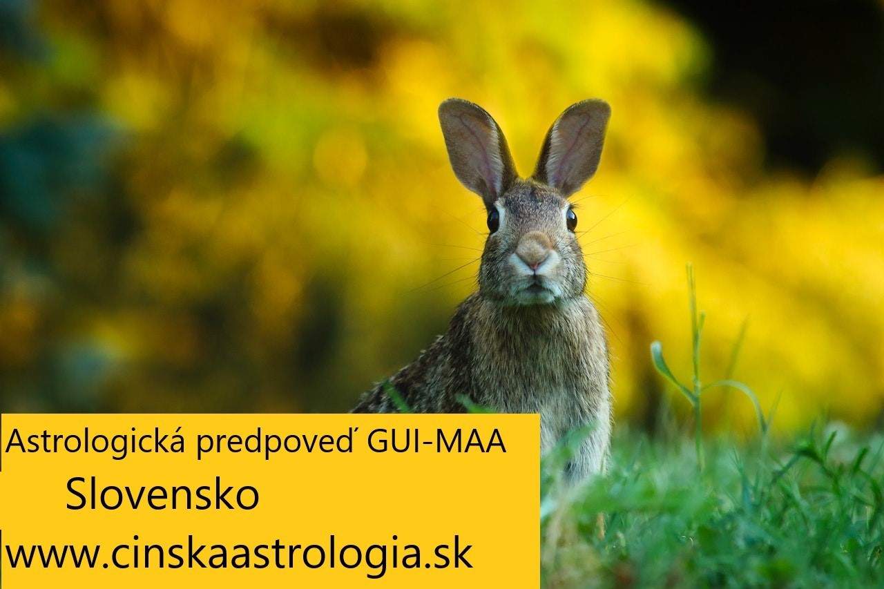 Astrologická predpoveď  Slovensko na rok jin vodového zajaca