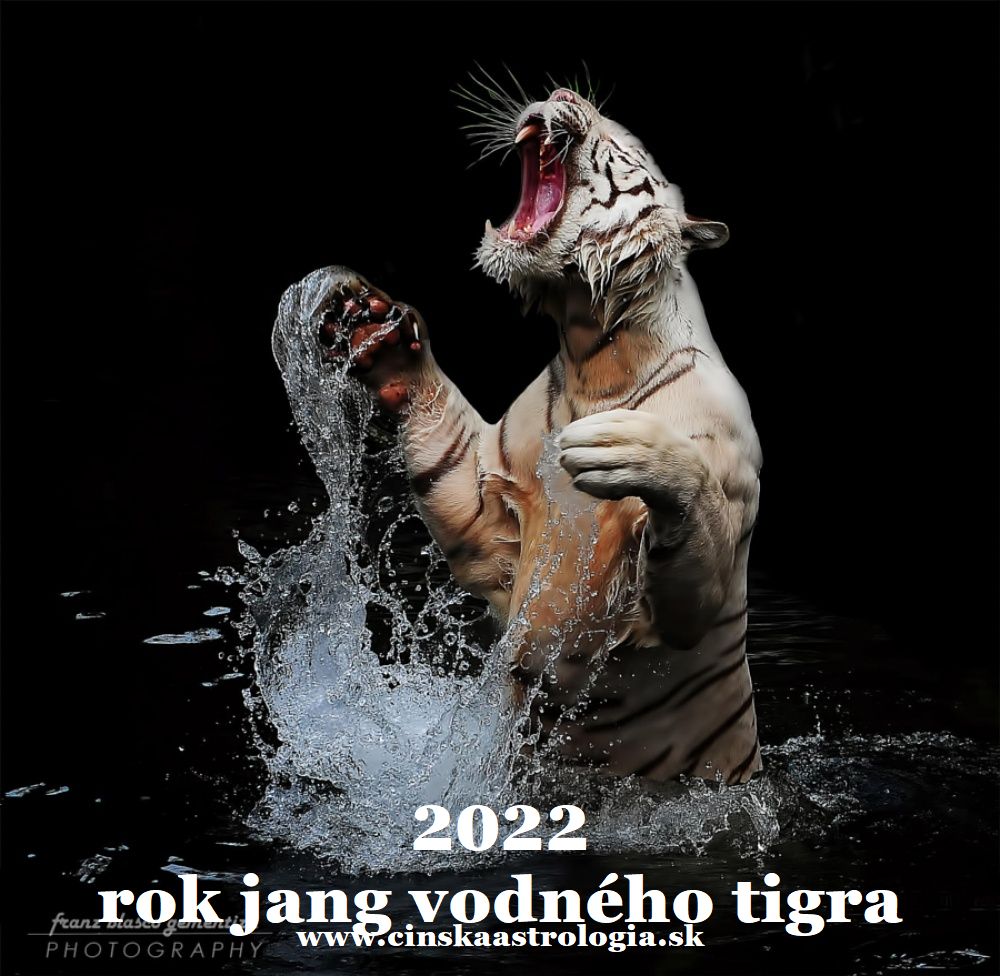 2022 tigerjpg